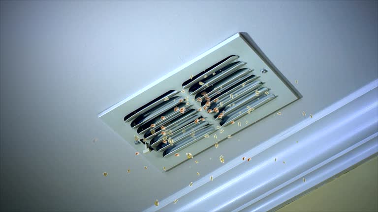 Home Air Vent Cleaning in Sweeny, TX